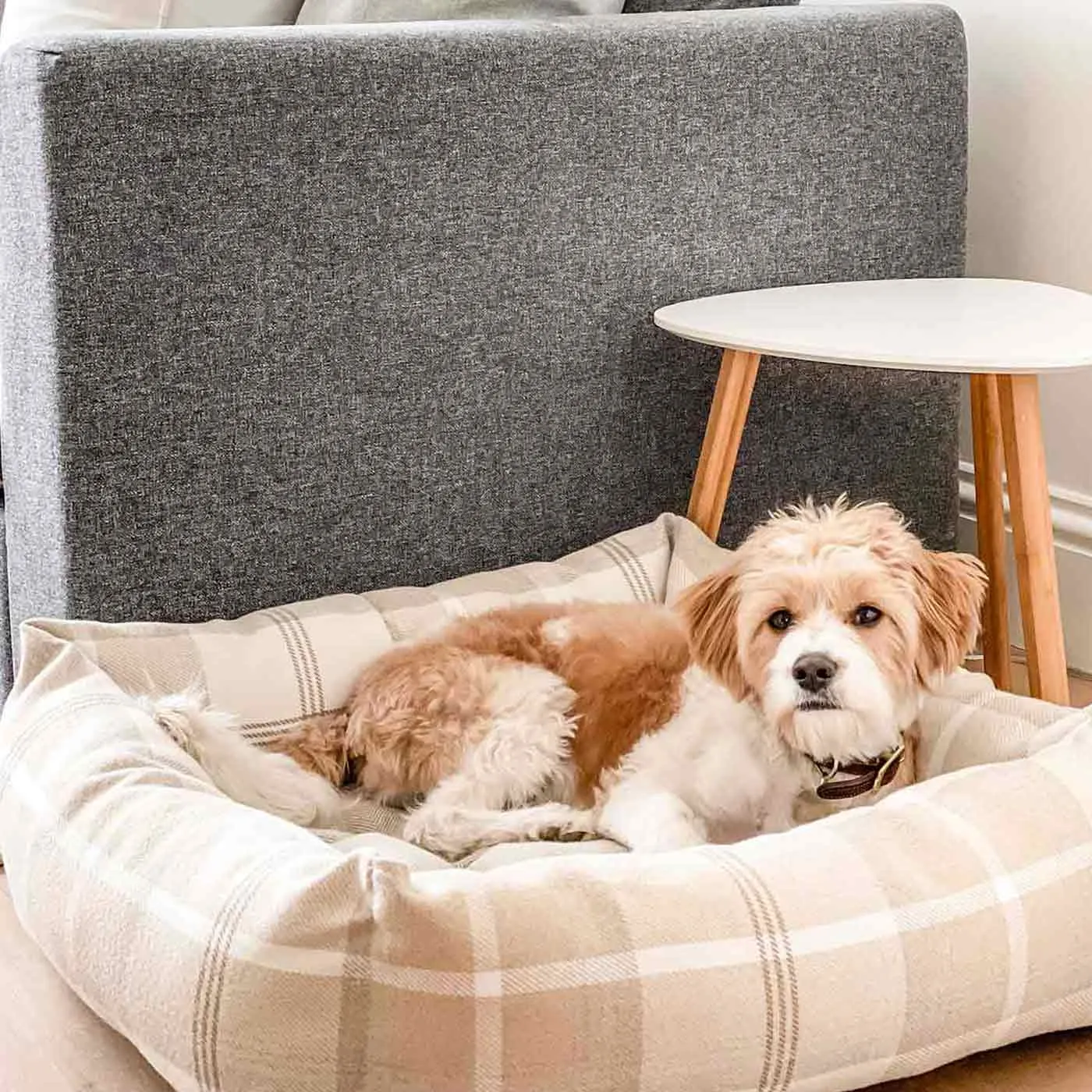 Box Bed With Removable Cover in Balmoral Tweed by Lords & Labradors