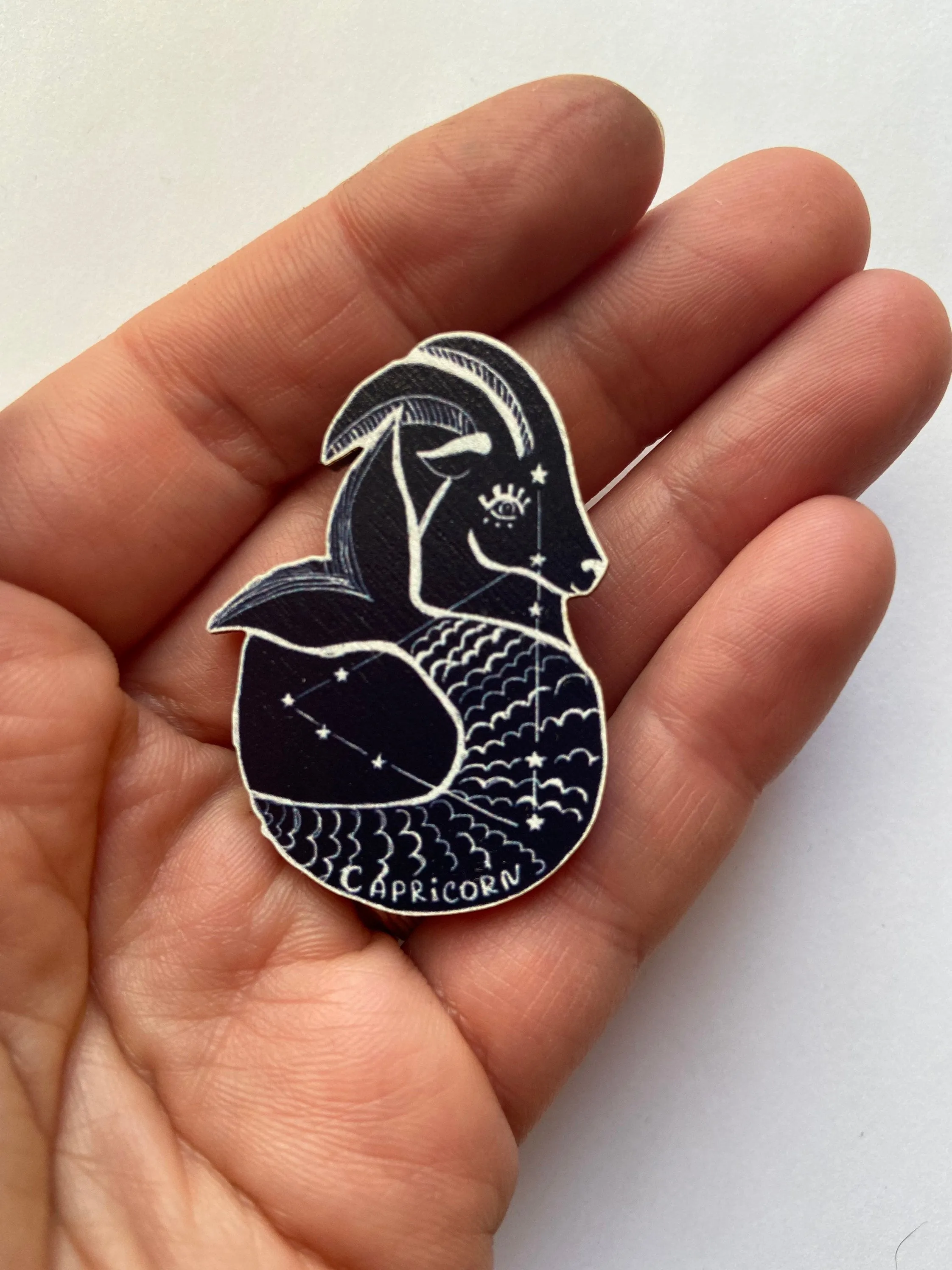 Capricorn Constellation Brooch